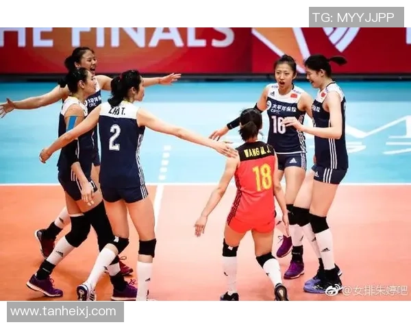 武汉排球队速度表现分析与大满贯赛事的精彩对比