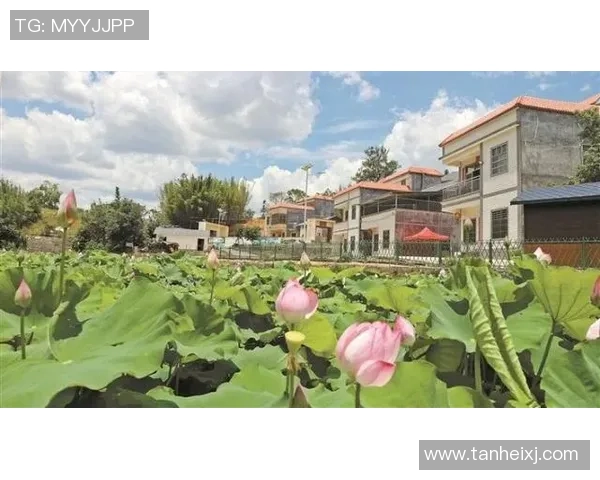 深圳乒乓球队挑战赛特别报道：从默默无闻到全国冠军的辉煌历程