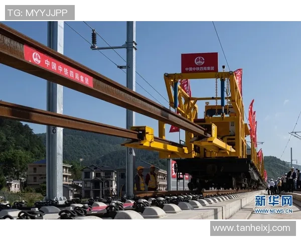 专访周丽：解密飞盘成功之道